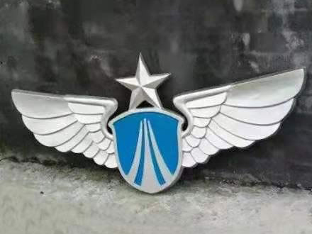 为什么警徽需要具备辨识度-143